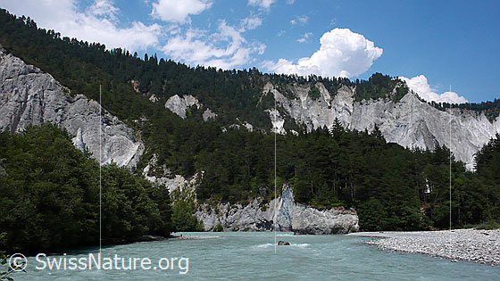 Foto: Flusslandschaft in der Rheinschlucht, Graubünden. Der Fluss (Vorderrhein) wird durch Kiesbänke und Felswände aus Kalkgestein begrenzt. Die zerklüfteten Grate sind mit Wald bewachsen.