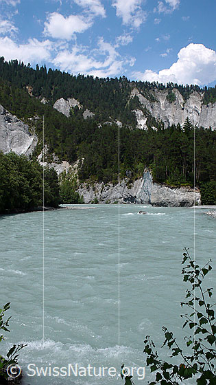 Foto: Schucht mit Fluss und steil abfallenden Felswänden aus Kalkgestein durchsetzt mit Wald.