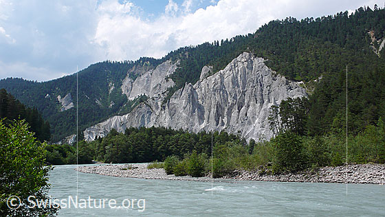 Foto: Flusslandschaft Vorderrhein mit ruhigem Fluss, Kiesbank, Wäldern und Kalksteingebirge mit zerfurchten Felswänden.