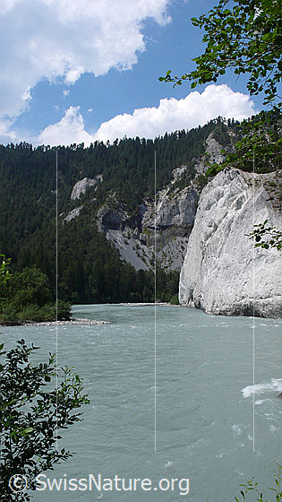 Foto: Flusslandschaft der Rheinschlucht mit hohen Kalksteinfelsen, steil abfallenden Geröllhalden bewaldeten Hängen und ruhig verlaufendem Fluss.