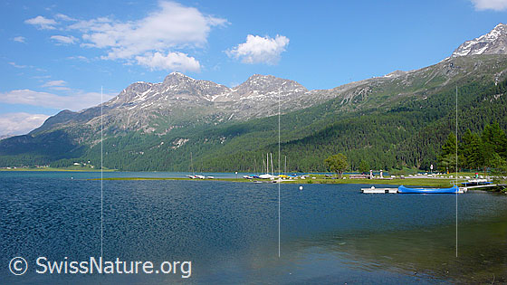 Foto: Silvaplanersee. Gipfel: Piz Surlej und Munt Arlas.