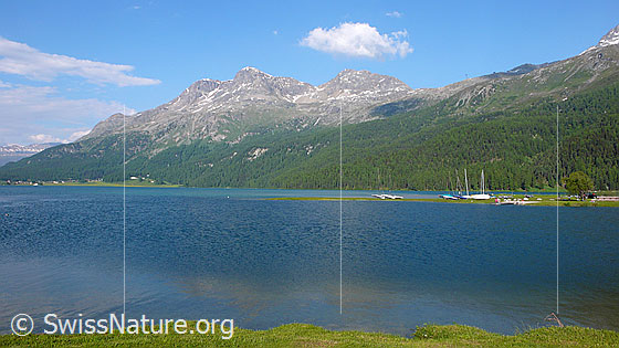 Foto: Silvaplanersee. Gipfel: Piz Surlej und Munt Arlas mit kleine Quellwolke.