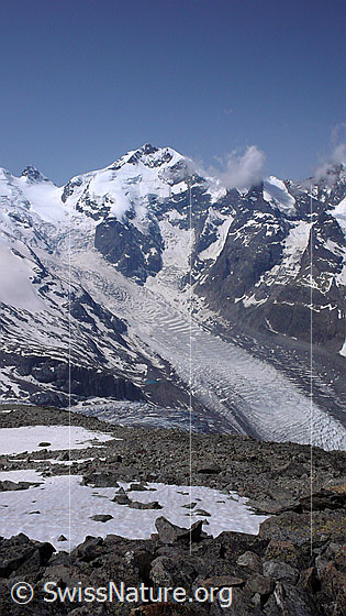 Foto: Piz Bernina und Morteratschgletscher.