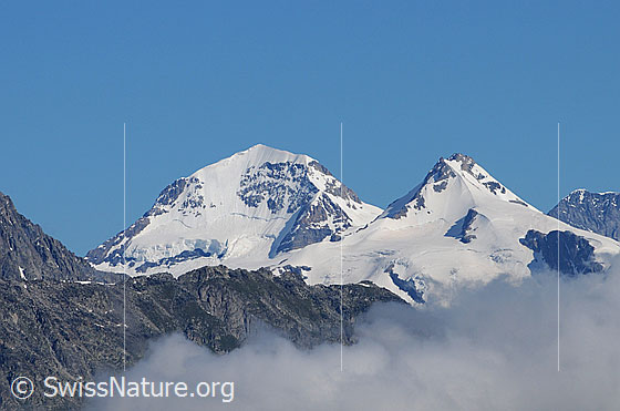 Foto: Mönch, Trugberg und Eiger von Süden mit Nebelschwaden im Vordergrund.
Am Mönch links der Südwestgrat (SW-Grat), rechts der Ostgrat (E-Grat), dazwischen die Südwand (S-Wand).
