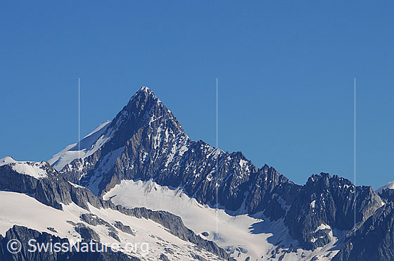Foto: Finsteraarhorn von Süden. Gut zu sehen ist rechts der 2.5km lange Südostgrat (SE-Grat), welcher sich von der Gemschlicke bis zum Gipfel des Finseraarhorn erstreckt. Links zieht sich die Südwestflanke (SE-Flanke) hoch, über welche die Normalroute verläuft.