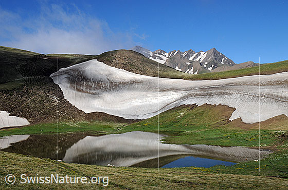 Foto: Spiegelbild einer lieblichen Berglandschaft mit Schneefeld in klarem Bergsee und einem Bergmassiv im Hintergrund.