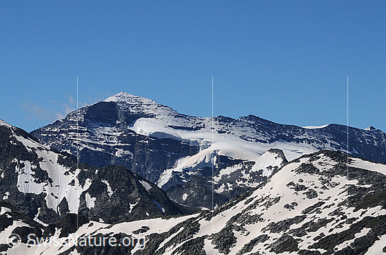 Foto: Nordwand des Monte Leone, Chaltwassergletscher und Furggubäumhorn.