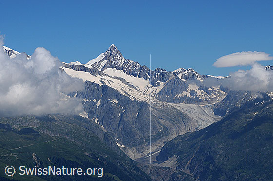 Foto: Firnsteraarhorn, Studerhorn, Finsteraarrothorn und Fieschergletscher.