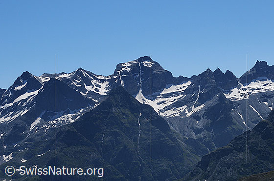 Foto: Scherbadungmassiv mit Schwarzhorn, Fleschhorn, Wannihorn, Scherbadung, Gischihorn, Wannigletscher und Gischigletscher.