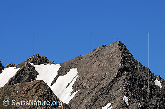 Foto: Gipfel des Bättlihorn mit Schneefeldern in steiler Bergflanke.