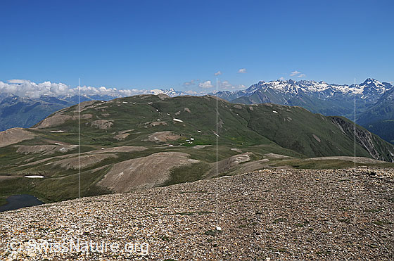 Foto: Breithorn und Alp Furggerchäller. Aufnahme ca. von Pt. 2582, Chalti Wassre.
Auf die Fläche oberhalb und rechts der Gebäude von Alp Furggerchäller kommt das östliche Feld von Grengiols Solar zu liegen.