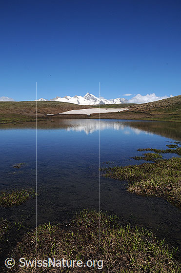 Foto: Blick über das flache Ufer und den tief blauen Bergsee mit Spiegelung zu Geisshorn und Aletschhorn.