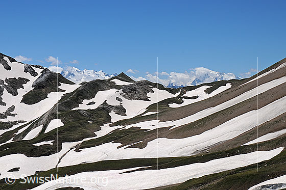 Foto: Saflischpass im Aufstieg vom Saflischtal.
Vermutlich wird durch diese Landschaft die temporäre Transportbahn von der Strasse über den Simplonpass zum Standort von Grengiols Solar führen.