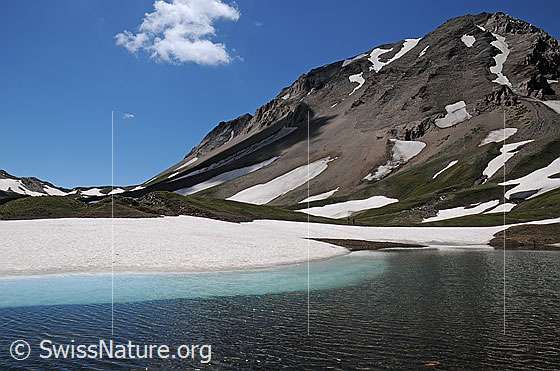 Foto: Auf der Ebene vor dem Saflischpass.
Vermutlich wird durch diese Landschaft die temporäre Transportbahn von der Strasse über den Simplonpass zum Standort von Grengiols Solar führen.
