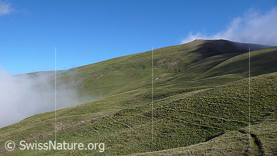 Foto: Bergweg Breithorn Kreuz Richtung Alp Furggerchäller.
Der Bergwerg führt mitten durch den Perimeter des östlichen Feldes von Grengiols Solar.