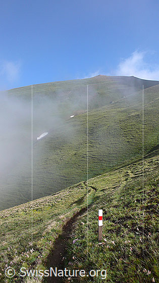 Foto: Ein markierter Bergweg führt als schmaler Pfad durch Alpweiden. Nebelschwaden verleihen der lieblichen Berglandschaft eine geheimnisvolle Stimmung.
Bergweg Breithorn Kreuz Richtung Alp Furggerchäller.
Der Bergwerg führt mitten durch den Perimeter des östlichen Feldes von Grengiols Solar.