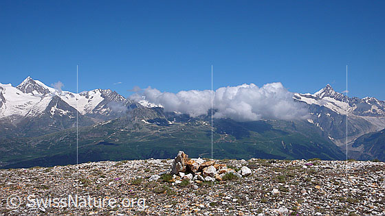 Foto: Steinhaufen als Wegmarkierung auf kargem Boden. Im Hintergrund sind Aletschhorn, Mittelaletschgletscher, Dreieckhorn, Finsteraarhorn und Fieschergletscher zu sehen.