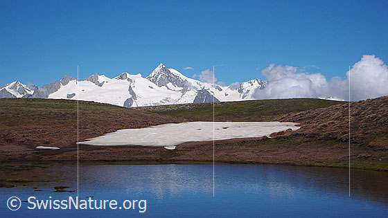 Foto: Bergsee und Hochebene mit Schneefeld. Im Hintergrund sind Schinhorn, Gross Fusshorn, Rotstock, Driestgletscher, Geisshorn, Zenbächengletscher und Aletschhorn zu sehen.
