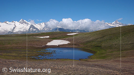 Foto: Hochebene mit Bergsee und Schneefeldern. Im Hintergrund sind die Berner Alpen  (Geisshorn, Aletschhorn, Finsteraarhorn) mit Quellwolken zu sehen.