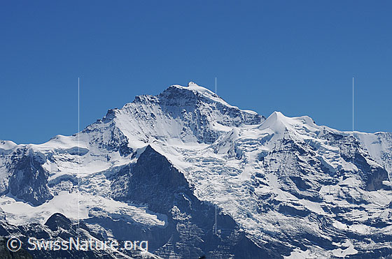 Foto: Portrait Jungfrau. Rechts das Silberhorn.
Gletscher: Links der Guggigletscher, Giesengletscher und Silberhorngletscher