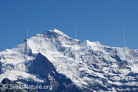 Foto: Jungfrau und Silberhorn
Gletscher: Links der Guggigletscher, Giesengletscher und Silberhorngletscher.