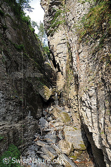 Foto: Alpbachschlucht in Meiringen. Enge Schlucht mit Wasserfall, steilen Felswänden und einem gesicherten Bergweg durch die Felsen.