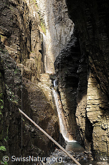 Foto: Wasserfall in der Alpbachschlucht mit Licht und Schatten. Der Alpbach stürzt sich als Wasserfall durch die enge Schlucht mit den gestuften, steilen Felswänden.