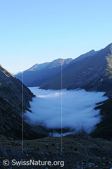 Foto: Nebelmeer über dem Saastal.