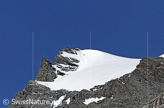 Foto: Fluchthorn von NE mit geschwungenem Firnfeld und Felsturm an der Gratkante.