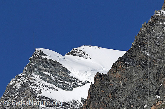 Foto: Strahlhorn von NE und Felsgrat im Vordergrund.