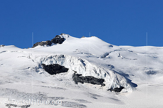 Foto: Schwarzberggletscher und Roffelhörner. Unterhalb des Gletscherabbruchs kommen Felsen zum Vorschein.