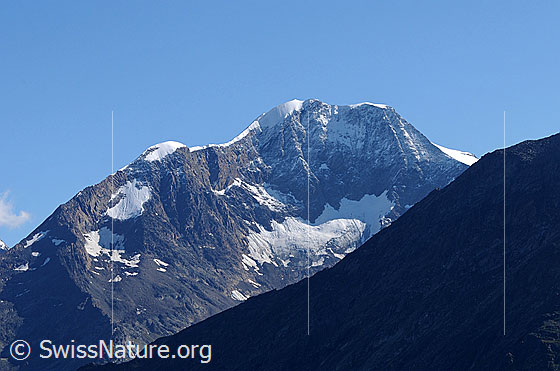 Foto: Weissmies von SW.
Davor der Rottalgletscher.