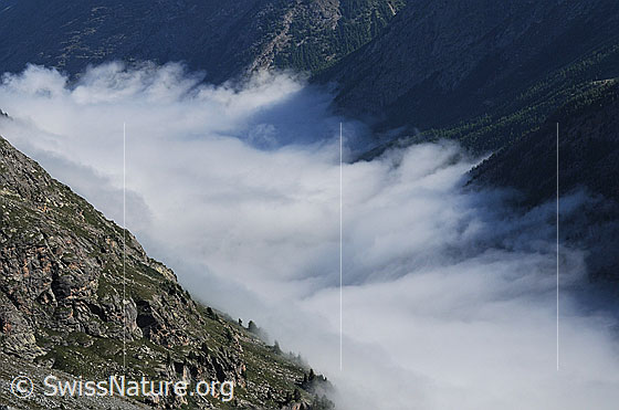 Foto: Tiefblick auf ein Nebelmeer über dem Saastal.