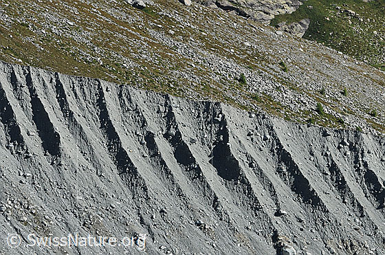 Foto: Seitenmoräne des Hohlaubgletschers.