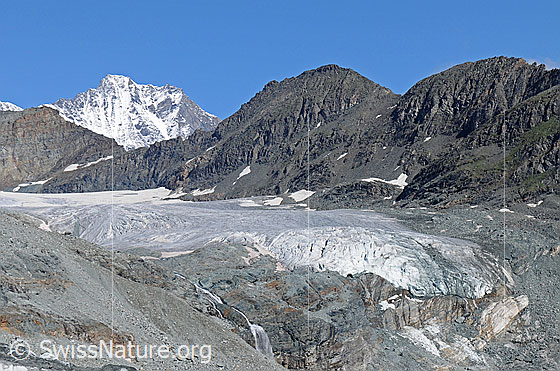 Foto: Dom, Hinter Allalinpass, Hinter Allalin und Hohlaubgletscher mit Gletscherzunge und Gletscherbach.