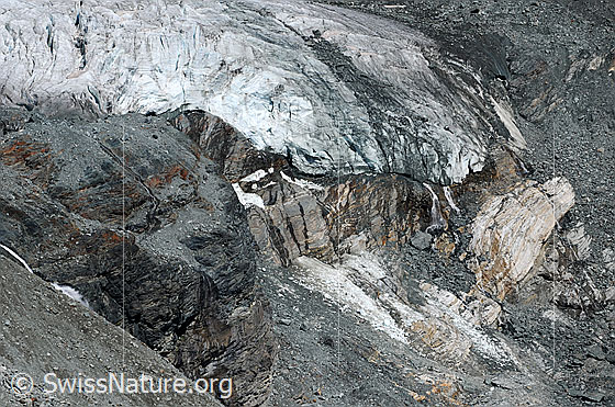 Foto: Zunge des Hohlaubgletschers.
