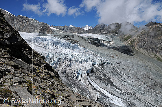Foto: Gletscherzungen von Allalingletscher und Hohlaubgletscher.
