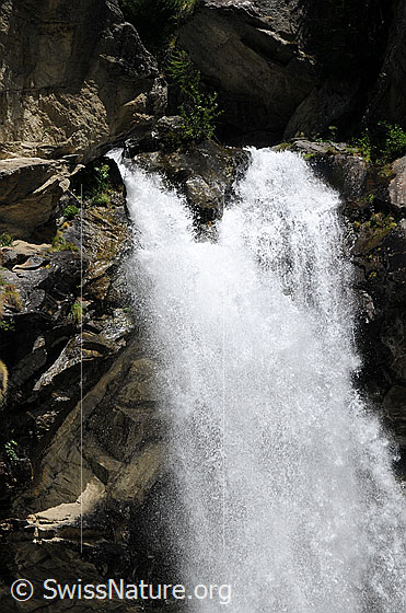 Foto: Bergbäche und Wasserfall. Zwei Arme eines Bergbachs stürzen sich tosend über eine Felswand.