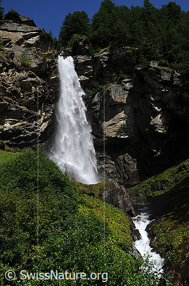 Foto: Wasserfall und Bergbach in grüner Umgebung mit Bergwald. Das Wasser stürzt tosend über Felsformationen.