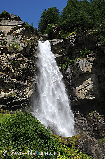 Foto: Wasserfall, Fels und Wald. Das Wasser stürzt tosend über Felsformationen in grüner Umgebung.