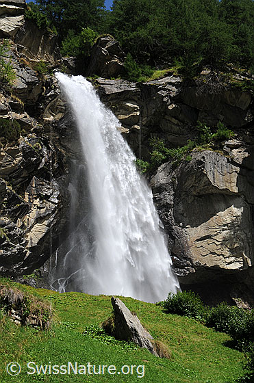 Foto: Hoher Wasserfall umgeben von Fels und Wald mit Alpweide im Vordergrund.