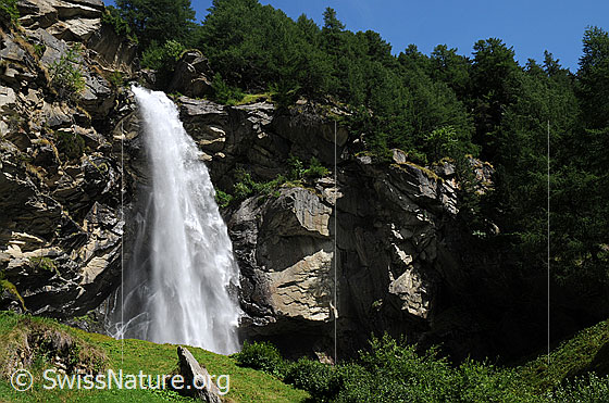 Foto: Wasserfall, Fels und Wald. Das Wasser stürzt tosend über Felsformationen in grüner Umgebung.