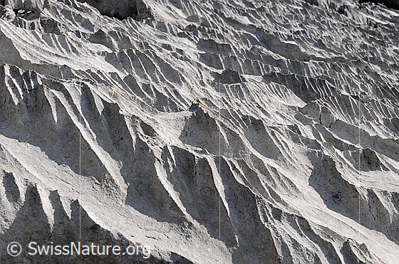 Foto: Interessante Strukturen in der Karstlandschaft.