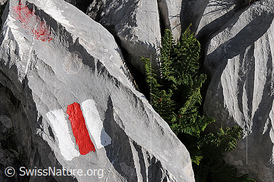Foto: Bergweg-Markierung auf Kalkfels.