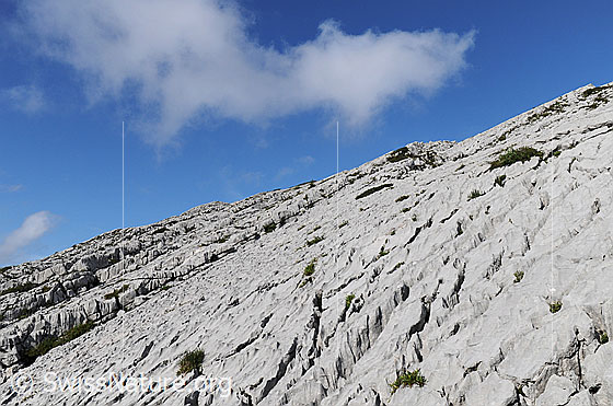 Foto: Karstlandschaft Schrattenfluh mi Quellwolke am blauen Himmel.