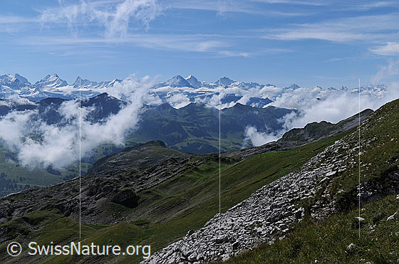 Foto: Wolkenstimmung mit Berner Alpen und Brienzer Grat. Zwischen den Bergketten steigen Quellwolken auf. Im Vordergrund sind die steilen Grashänge und die urtümliche Berglandschaft der Schrattenfluh zu sehen.