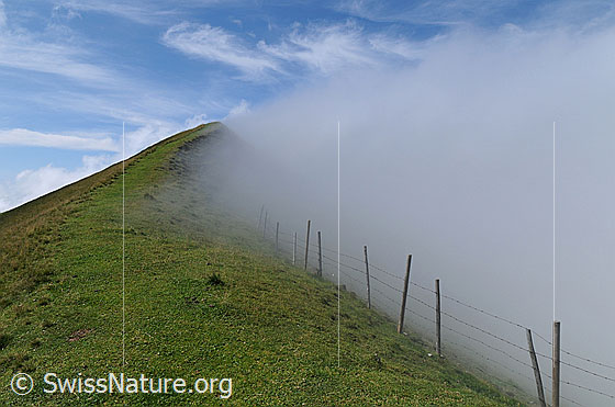 Foto: Bergrücken mit Nebelstimmung und Zaun. Nebelstimmung in den Voralpen. Bergrücken mit Alpweide und Zaun an der Gratkante der Schrattenfluh. Der Nebel staut sich am Grat und am blauen Himmel sind Schleierwolken zu sehen.