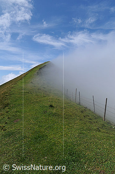 Foto: Nebelstimmung in den Voralpen. Bergrücken mit Alpweide und Zaun an der Gratkante der Schrattenfluh. Der Nebel staut sich am Grat und am blauen Himmel sind Schleierwolken zu sehen.