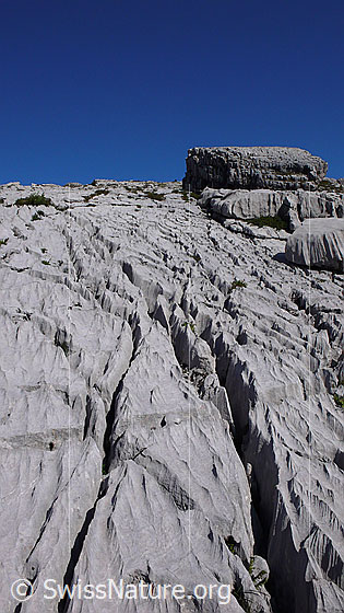Foto: Karstlandschaft beim Nebelspalter, Schrattenfluh.