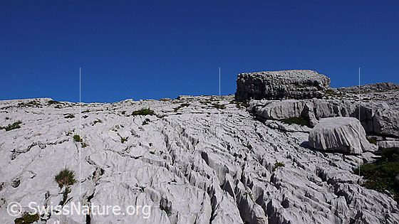 Foto: Karstlandschaft und Nebelspalter, Schrattenfluh.